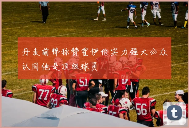 丹麦前锋称赞霍伊伦实力强大公众认同他是顶级球员