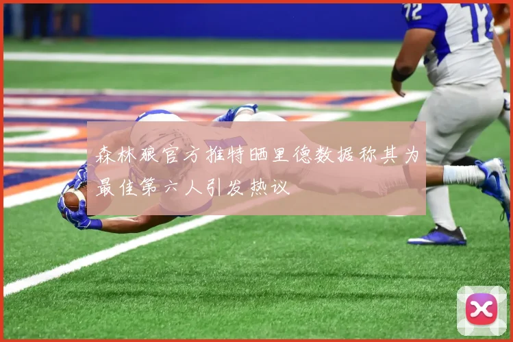 森林狼官方推特晒里德数据称其为最佳第六人引发热议