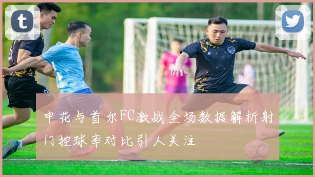申花与首尔FC激战全场数据解析射门控球率对比引人关注