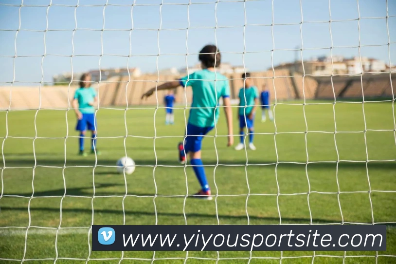 易游体育平台生态图