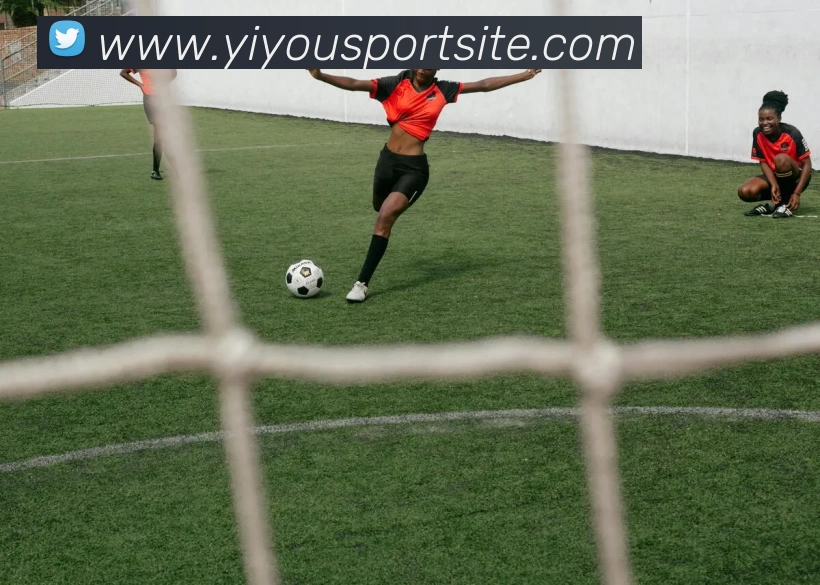 易游体育APP 封面图