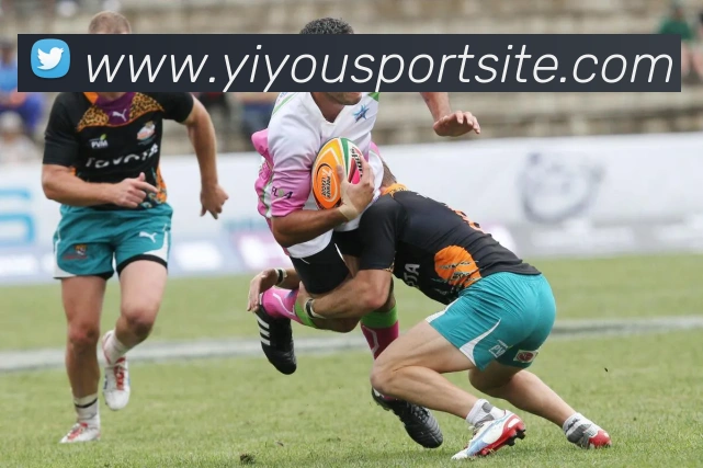 数据防护可视化